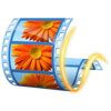 Windows Movie Maker